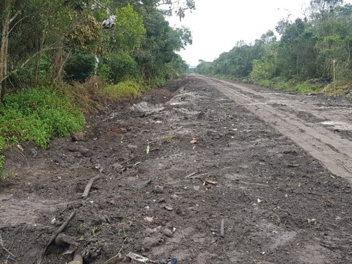 Imagem 6 de 9 de Terreno Na Praia Com 231 M², Em Itanhaém/sp Ter042-pc