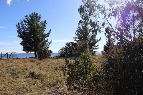 Preciosa Parcela De 1 Hectárea A Orilla Del Lago Llanquihu