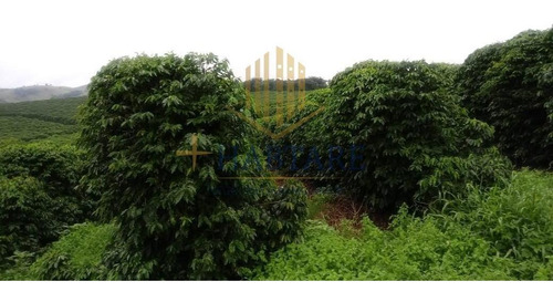 Imagem 10 de 15 de Fazenda Para Venda Em Ouro Fino, - - Fazenda 0_1-2221666