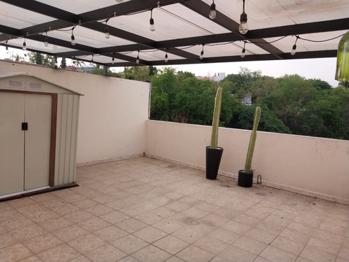 Renta Pent House Con Roof Garden Privado Av. Díaz Ordaz