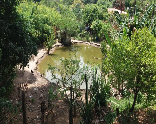 Imagem 12 de 25 de Chácara À Venda No Irema - Alumínio/sp - Ch00706 - 68879934