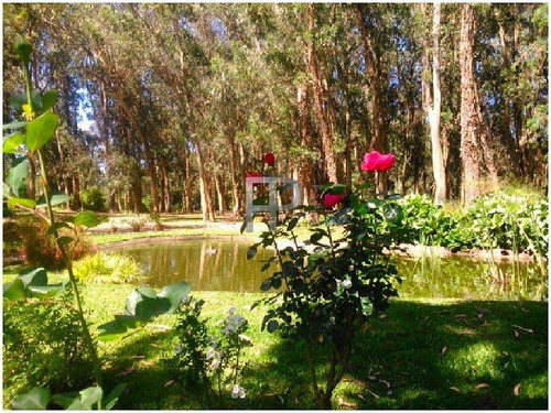 Imagen 11 de 15 de Casa En Venta Punta Del Este 3 Dormitorios, 13295 M2 Terreno