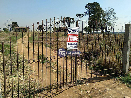 Imagem 2 de 20 de Terreno À Venda, 41125 M² Por R$ 6.167.000,00 - Campo Largo Da Roseira - São José Dos Pinhais/pr - Te0085