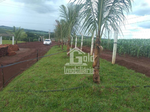 Chácara À Venda, 7000 M² Tem Café Plantado Por R$ 330.000 - Zona Rural - Brodowski/sp - Ch0027