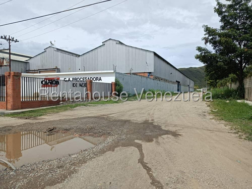 Maria Gonzalez Alquila Terreno Carretera Los Guayos. 25-12064