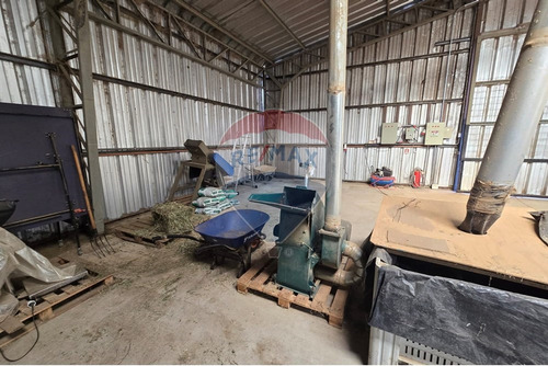 Arriendo De Bodega En Pelarco, Talca