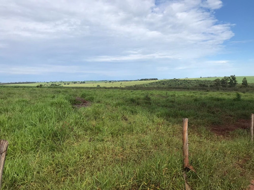 Imagem 5 de 6 de Arrendo 60 Hectares - Regiao De Arealva - Para Plantio