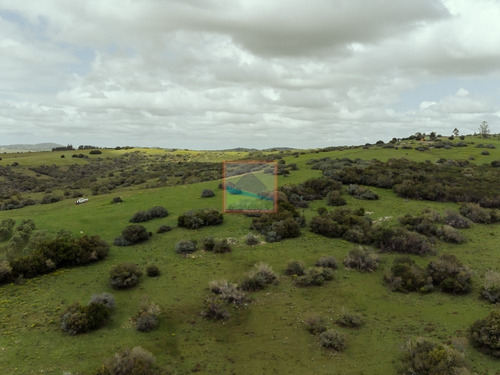 Imagen 5 de 28 de Campo 180 Hás En Altos De Carapé