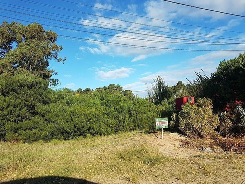 Imagen 4 de 8 de -vendido- Lote Sobre Calle Pinamar, Muy Buena Ubicación