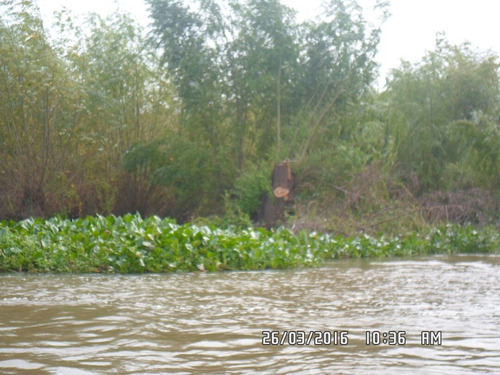 Imagen 5 de 7 de Entre Rios Delta Ibicuy , 249 Ha Rio Gutierrez Y Rio Uruguay