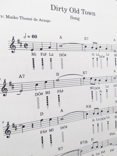Música Celta Volume 1 Para Tin Whistle + Player Das Partituras + Vídeos Demonstrativos