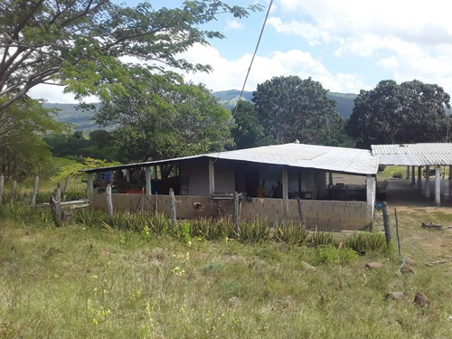 Imagen 3 de 30 de Se Vende Finca Agropecuaria De 300 Hectareas En Guarico Altagracia De Orituco Att-120