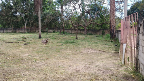Sítio Em Aramari Próximo A Alagoinhas