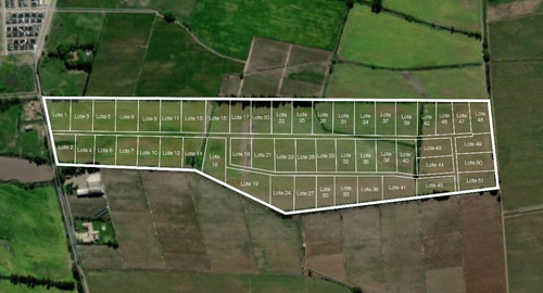 Parcela Exclusiva 5.000 M² Molina, Curicó