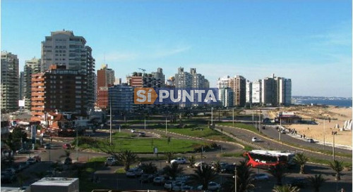 Imagen 7 de 8 de Apartamento En Venta De 1 Dormitorio, Con Renta Anual