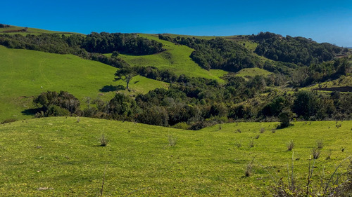Campo En Estaquilla A Solo 160 Metros De La Costa