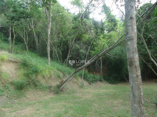 Imagem 4 de 14 de Terreno À Venda, 1099 M² Por R$ 90.000,00 - Mata Paca - Niterói/rj - Te2154
