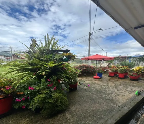 Venta De Casa En El Queremal Valle Del Cauca
