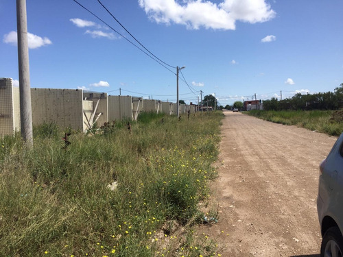 Imagen 5 de 10 de Vendemos Excepcional Lote En Tres Arroyos. Varios Destinos