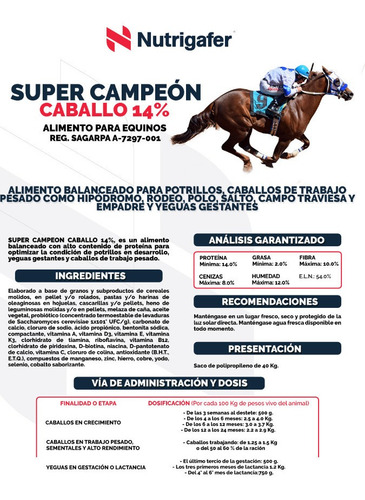 Super Campeon 14% Alimento Para Caballo 40 Kg.