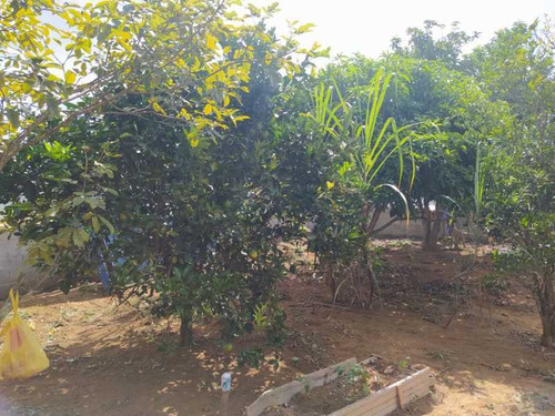 Imagem 13 de 15 de Terreno Parque São Martinho - Bitr00033