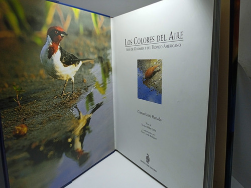 Imagen 3 de 10 de Los Colores Del Aire - Aves De Colombia Y El Trópico