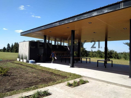 Imagen 6 de 11 de Terreno De 392 M2 En Pinares Del Sur - Piñero