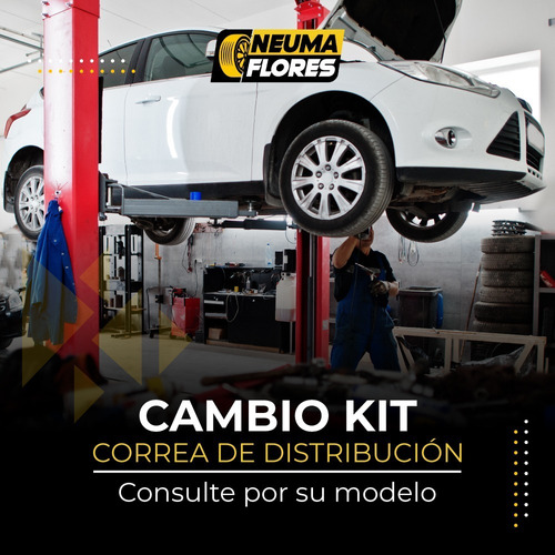 Cambio De Correa Distribucion Renault Kangoo Mano De Obra