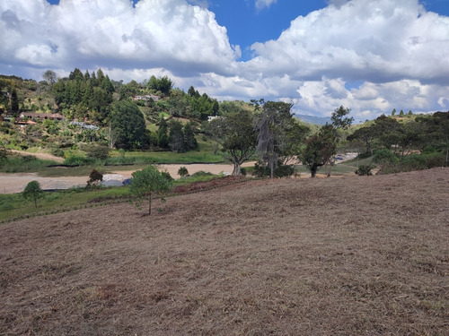 Lote En Venta Guarne Parcelación Sector Aeropuerto.