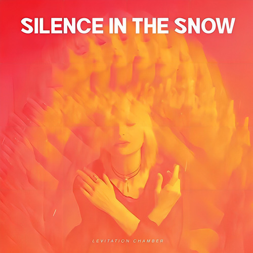 Cd Levitation Chamber - Silence In The Snow