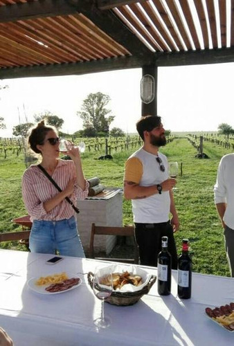 Imagen 22 de 30 de Viñedo Boutique, Totalmente Productivo, Con Casa Y Cava