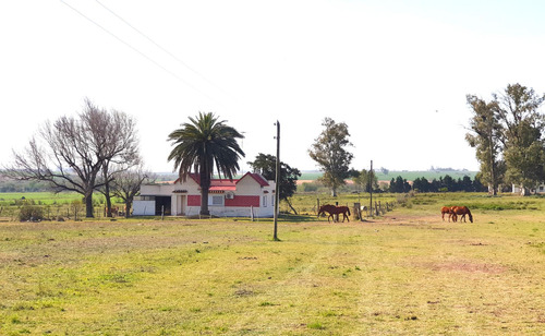 Campo En Rincon Del Doll