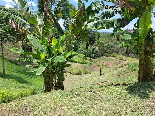 Oportunidad De Inversión! Excelente Ubicación Lote Campestre