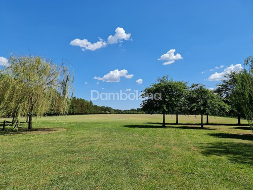 Imagen 10 de 30 de Campo En Venta - General Rodríguez - G.b.a. Zona Oeste