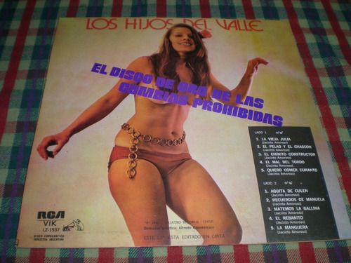 Los Hijos Del Valle Vinilo Promo (19) (Usado)