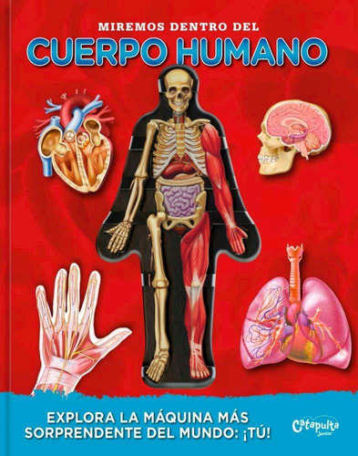 Miremos Dentro Del Cuerpo Humano - Td - Esteve, Laura