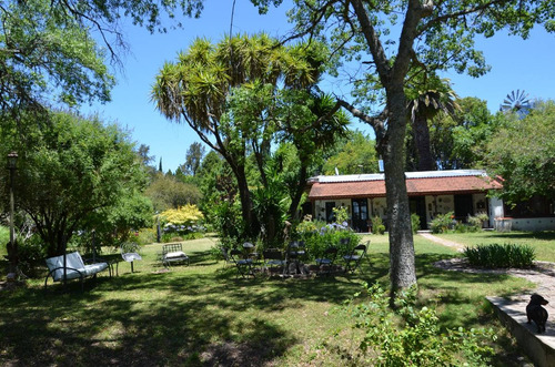 Imagen 3 de 14 de Venta Chacra 7 Hectareas A 40 Km De Mercedes