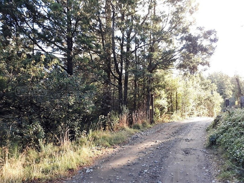 Terreno Fraccion En Venta Ubicado En Villa Lago Gutierrez, Bariloche