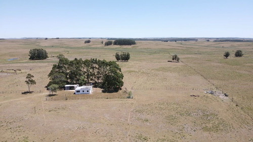 Imagen 4 de 15 de Chacra Con Casa Garzón 14ha (ref: Atm-6948)