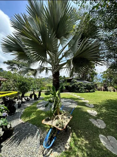 Casa Campestre En Venta En Vereda El Zancudo. Cod V12233