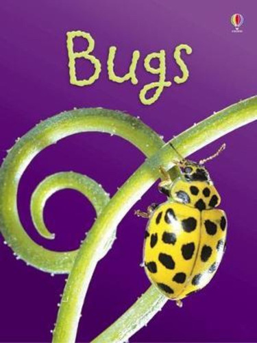 Bugs - Usborne Beginners Kel Ediciones