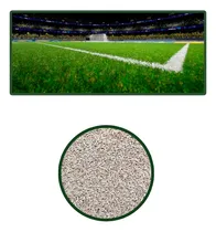 Comprar Semillas De Grass Bermuda Gobi Ibiza Rf \u002F Cancha Profesional