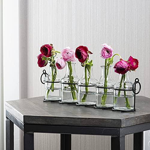 Jarrón De Flores De Vidrio 5pc Con Soporte De Metal, Los Mej