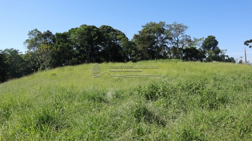 Imagem 9 de 15 de Sitio - Rio Manso - Ref: 271 - V-1694