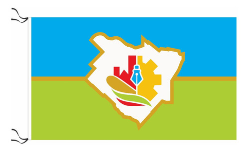 Bandera De La Municipalidad De Pergamino 90x60cm