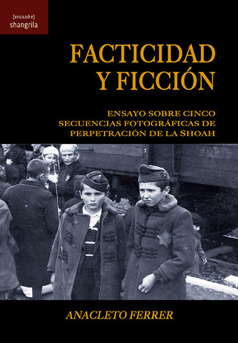 Facticidad Y Ficcion - Ferrer, Anacleto