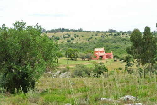 Quinta | Ruta 12 Y 5kms De Camino Vecinal