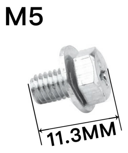 Muqzi 1