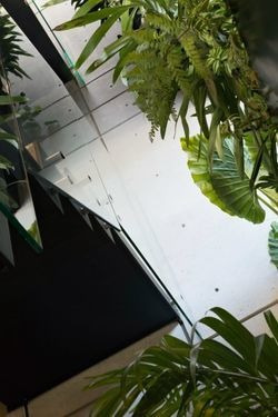 Imagen 10 de 11 de Departamento En Venta En Polanco Iii Sección