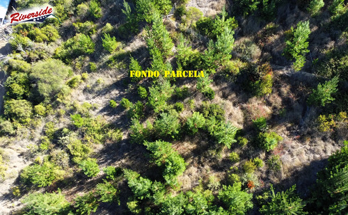 Linda Parcela Con Bosque Propio, Loteo En Paredones/bucalemu